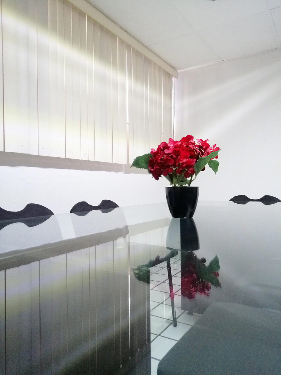 Oficinas privadas 1