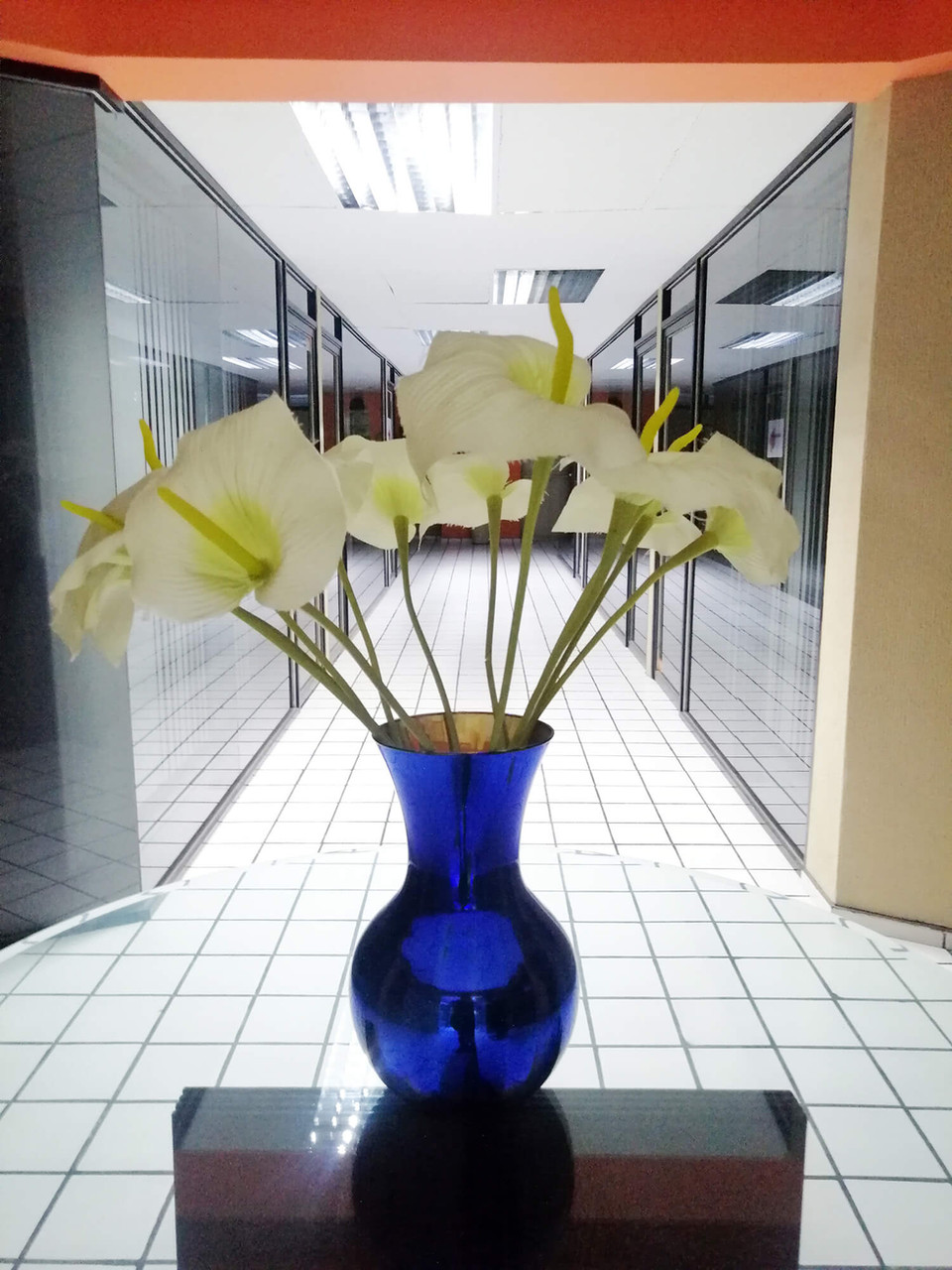 Oficinas privadas 2